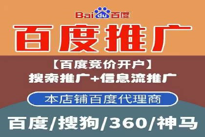 百度推广案例：精准广告投放策略解析